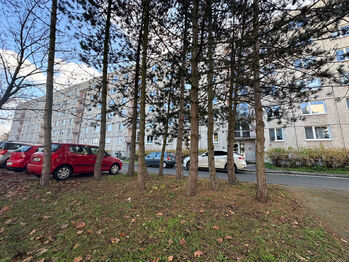 Pronájem bytu 2+1 v družstevním vlastnictví 54 m², Hradec Králové
