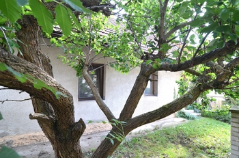 zadní část domu - Prodej domu 109 m², Praha 4 - Točná