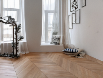 VIZUALIZACE  předsíň - Prodej domu 400 m², Křimov