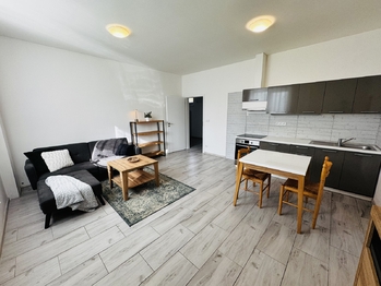 Pronájem bytu 1+1 v osobním vlastnictví 36 m², Třebíč