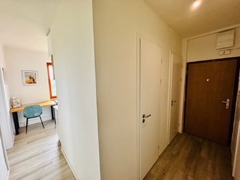 Pronájem bytu 2+1 v osobním vlastnictví 53 m², Praha 3 - Žižkov