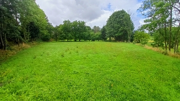 Prodej pozemku 1913 m², Borotín