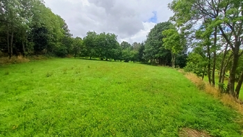 Prodej pozemku 1913 m², Borotín