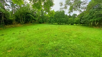Prodej pozemku 1913 m², Borotín