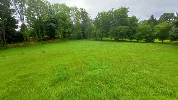 Prodej pozemku 1913 m², Borotín