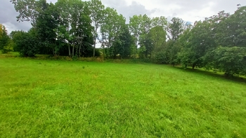 Prodej pozemku 1913 m², Borotín