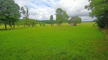 Prodej pozemku 1913 m², Borotín