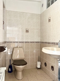 dolní koupelna - Prodej domu 170 m², Duchcov