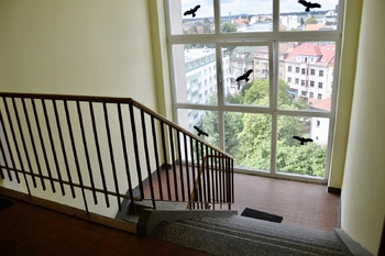 Prodej bytu 3+1 v osobním vlastnictví 58 m², Mladá Boleslav
