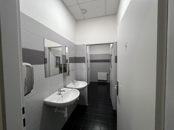 Pronájem obchodních prostor 487 m², Liberec
