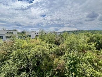 Pronájem bytu 1+1 v osobním vlastnictví 31 m², Praha 5 - Jinonice