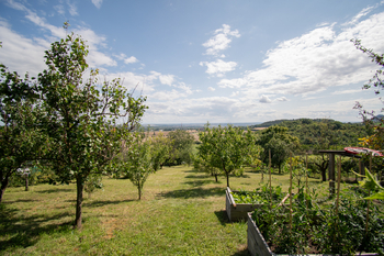 Prodej pozemku 2225 m², Žitenice
