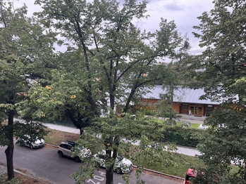 Pronájem bytu 3+1 v osobním vlastnictví 60 m², Praha 10 - Strašnice