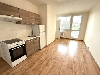 Pronájem bytu 2+kk v osobním vlastnictví 36 m², Slaný