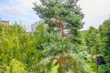 Pronájem bytu 2+1 v osobním vlastnictví 56 m², Hustopeče