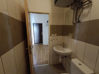 Pronájem bytu 1+1 v osobním vlastnictví 36 m², Praha 2 - Vyšehrad