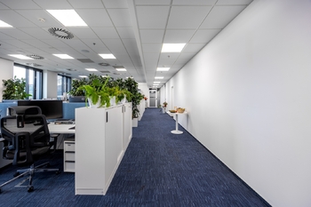 Pronájem kancelářských prostor 319 m², Praha 8 - Karlín