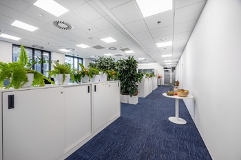 Pronájem kancelářských prostor 319 m², Praha 8 - Karlín