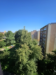 Prodej bytu 3+1 v družstevním vlastnictví 70 m², Český Těšín
