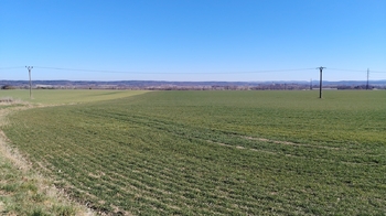 Prodej pozemku 17606 m², Vysoké Mýto