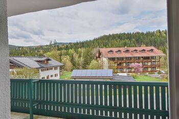 Prodej bytu 1+kk v osobním vlastnictví 28 m², Bayerisch Eisenstein