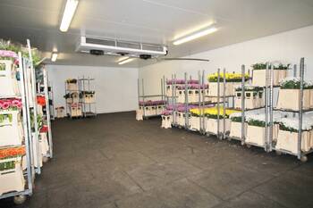 Pronájem skladovacích prostor 200 m², Spálené Poříčí