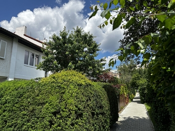 Pronájem domu 150 m², Praha 10 - Strašnice