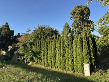 Prodej domu 120 m², Jílovice