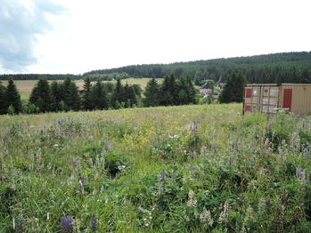 Prodej pozemku 700 m², Loučná pod Klínovcem