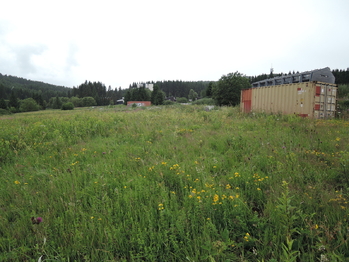 Prodej pozemku 700 m², Loučná pod Klínovcem