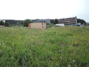 Prodej pozemku 700 m², Loučná pod Klínovcem