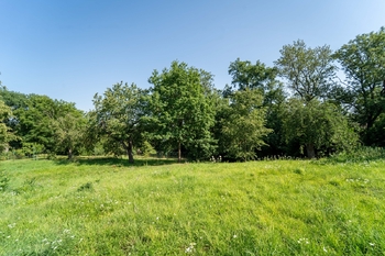 Pohled na pozemek - Prodej pozemku 1774 m², Svinaře