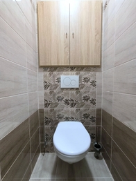 Pronájem bytu 2+kk v družstevním vlastnictví 53 m², Orlová