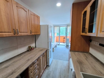 Pronájem bytu 2+kk v družstevním vlastnictví 53 m², Orlová