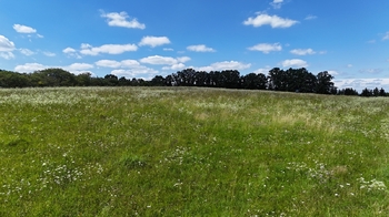 Prodej pozemku 20610 m², Kunčina