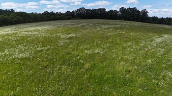 Prodej pozemku 20610 m², Kunčina