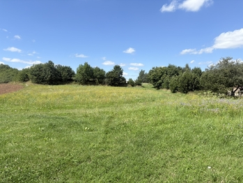 Prodej pozemku 20610 m², Kunčina
