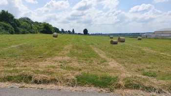 Prodej pozemku 7793 m², Všetaty