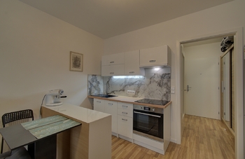 Prodej bytu 1+kk v osobním vlastnictví 35 m², Praha 9 - Libeň