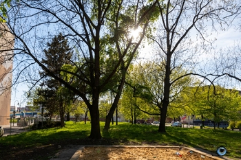 Pronájem bytu 3+1 v osobním vlastnictví 118 m², Ostrava