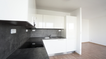 Pronájem bytu 3+kk v osobním vlastnictví 61 m², Praha 10 - Vršovice