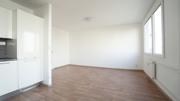 Pronájem bytu 3+kk v osobním vlastnictví 61 m², Praha 10 - Vršovice