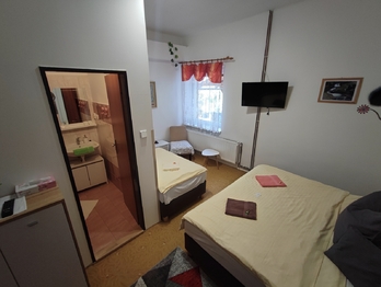 Prodej domu 555 m², Lipová-lázně