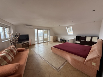 Pronájem bytu 3+kk v osobním vlastnictví 161 m², Vodochody