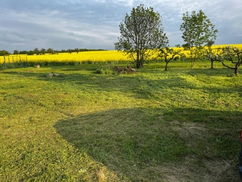 Prodej pozemku 1118 m², Vilémov