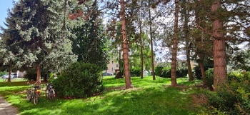 Prodej bytu 2+1 v osobním vlastnictví 55 m², Krnov