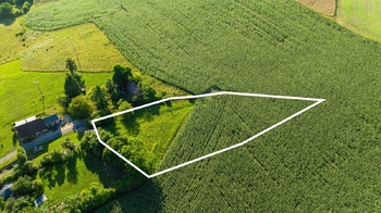 Prodej pozemku 2482 m², Bačalky