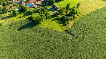 Prodej pozemku 2482 m², Bačalky
