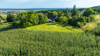 Prodej pozemku 2482 m², Bačalky