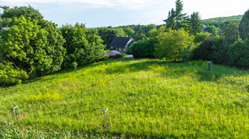 Prodej pozemku 2482 m², Bačalky